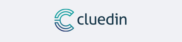 cluedin logo
